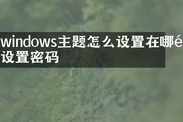 windows主题怎么设置在哪里设置密码