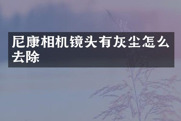 尼康相机镜头有灰尘怎么去除