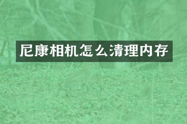 尼康相机怎么清理内存