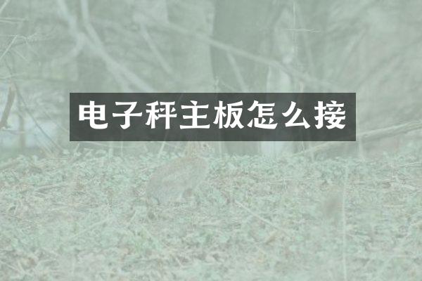 电子秤主板怎么接