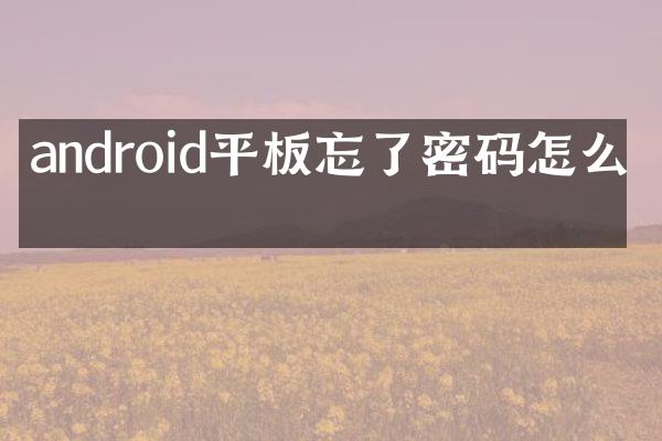 android平板忘了密码怎么办
