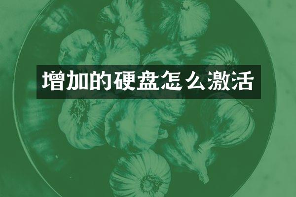 增加的硬盘怎么激活