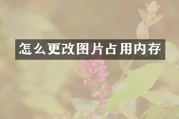 怎么更改图片占用内存