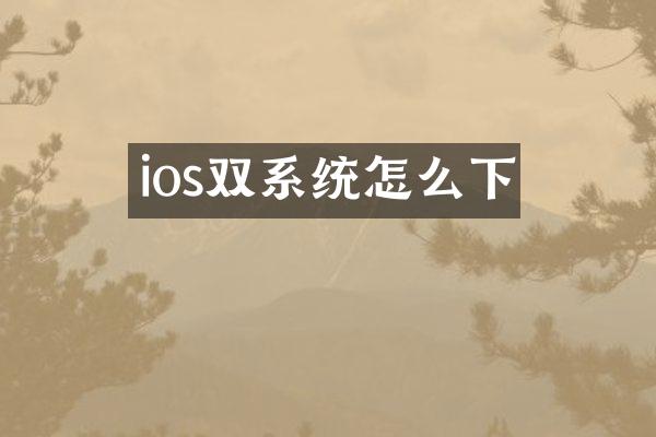 ios双系统怎么下