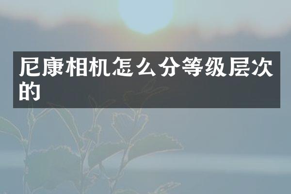 尼康相机怎么分等级层次的