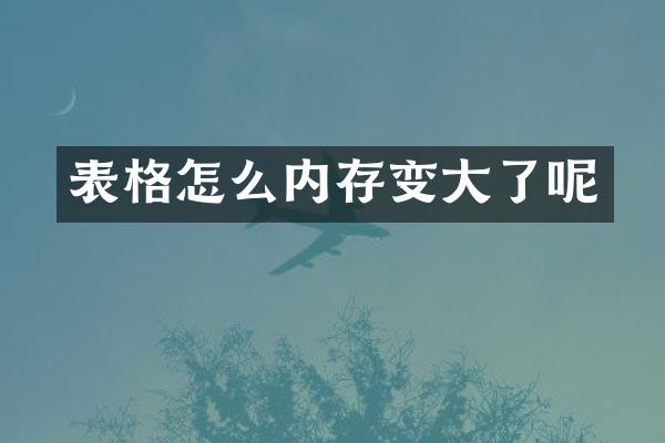 表格怎么内存变大了呢