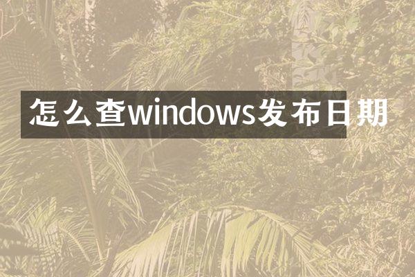 怎么查windows发布日期