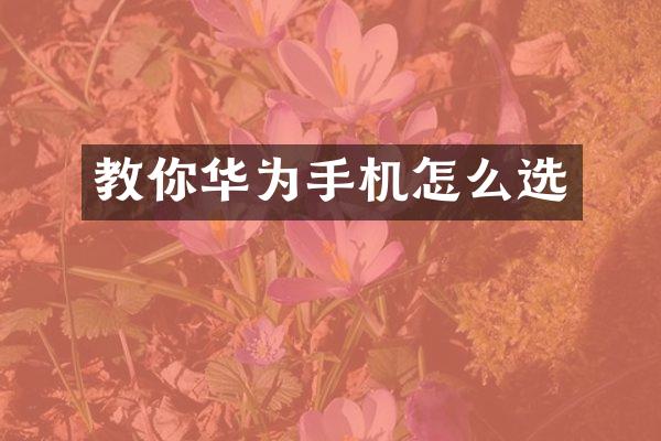 教你华为手机怎么选
