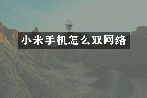 小米手机怎么双网络