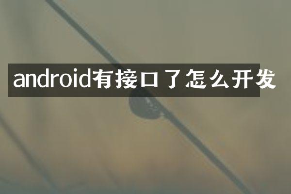 android有接口了怎么开发