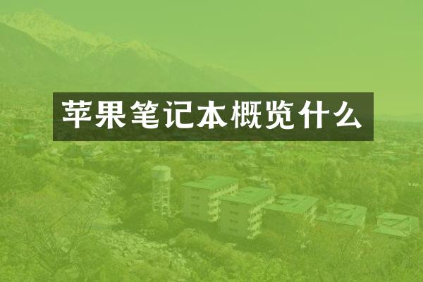 苹果笔记本概览什么