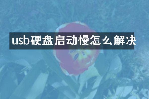usb硬盘启动慢怎么解决