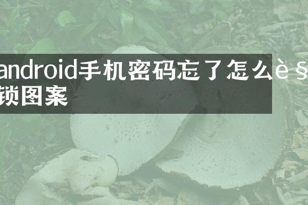 android手机密码忘了怎么解锁图案