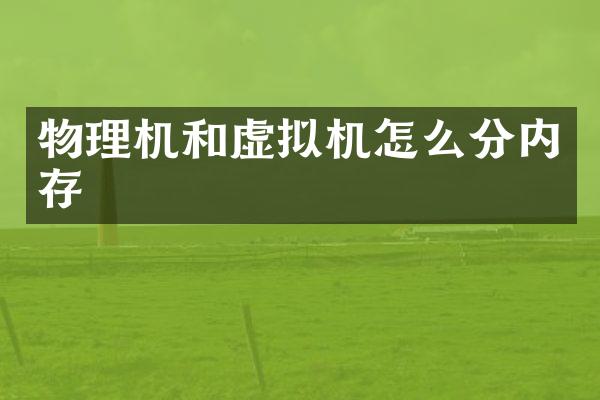 物理机和虚拟机怎么分内存