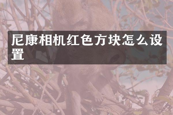 尼康相机红色方块怎么设置