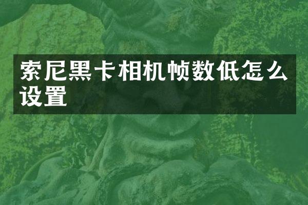 相机帧数低怎么设置