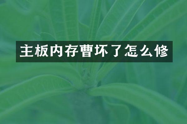 主板内存曹坏了怎么修