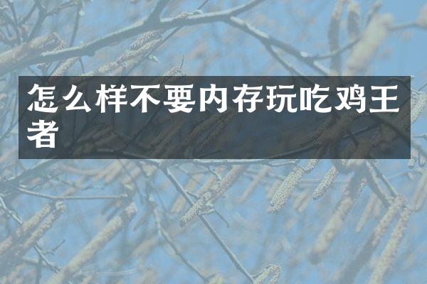 怎么样不要内存玩吃鸡王者