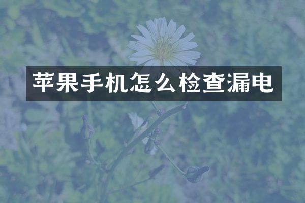 苹果手机怎么检查漏电