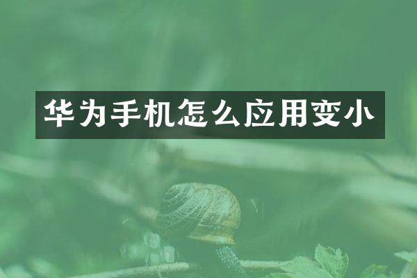 华为手机怎么应用变小