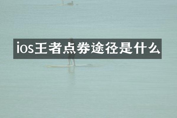 ios王者点券途径是什么