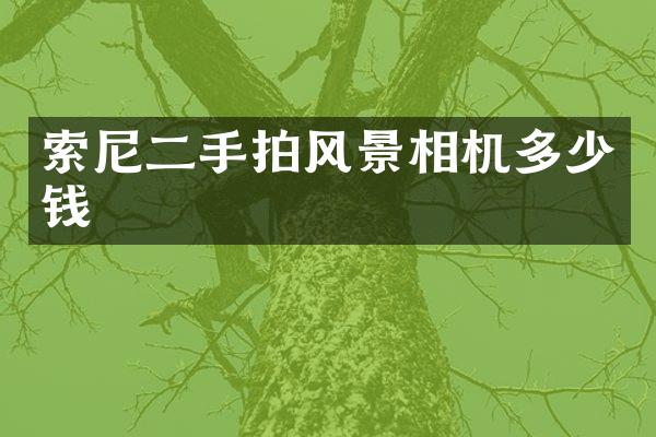 二手拍风景相机多少钱