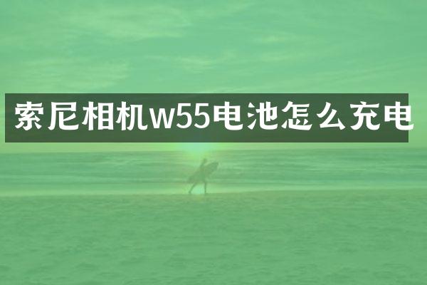 相机w55电池怎么充电