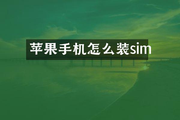 苹果手机怎么装sim