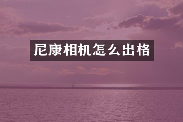 尼康相机怎么出格