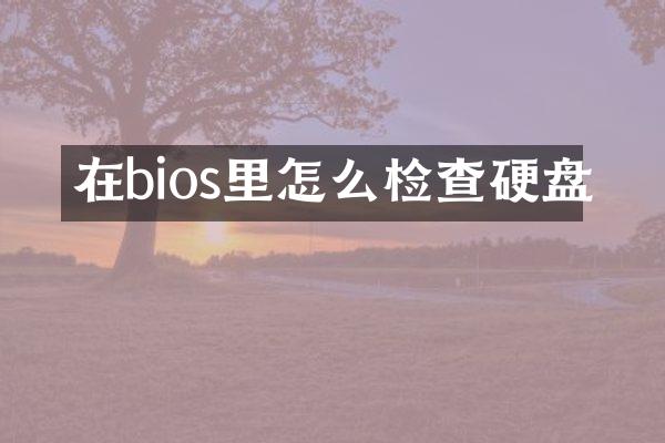 在bios里怎么检查硬盘