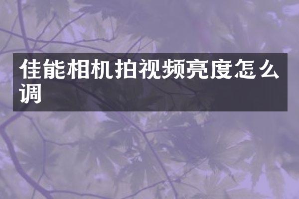 佳能相机拍视频亮度怎么调