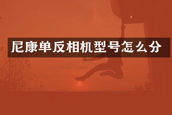 尼康单反相机型号怎么分