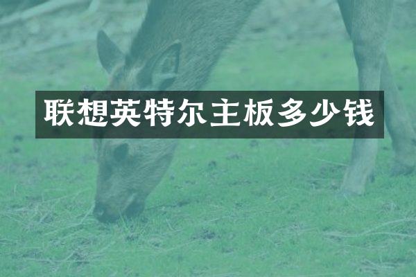 联想英特尔主板多少钱