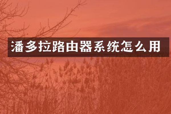 潘多拉路由器系统怎么用