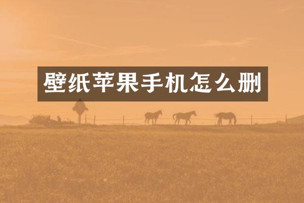 壁纸苹果手机怎么删