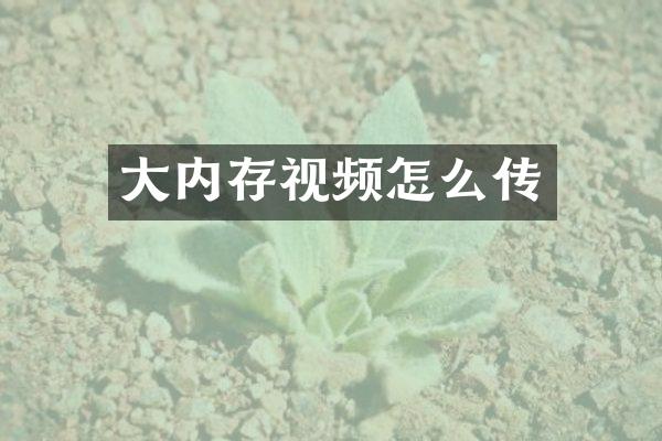 大内存视频怎么传