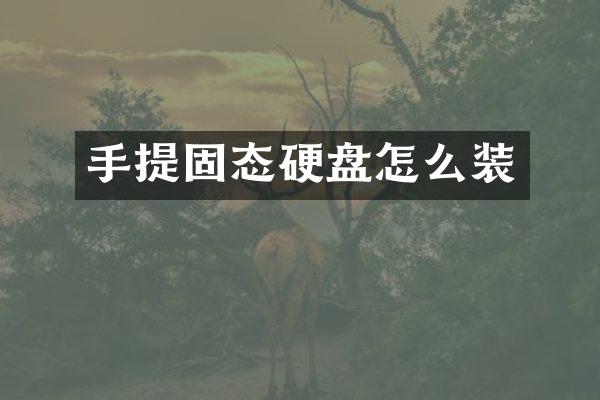 手提固态硬盘怎么装