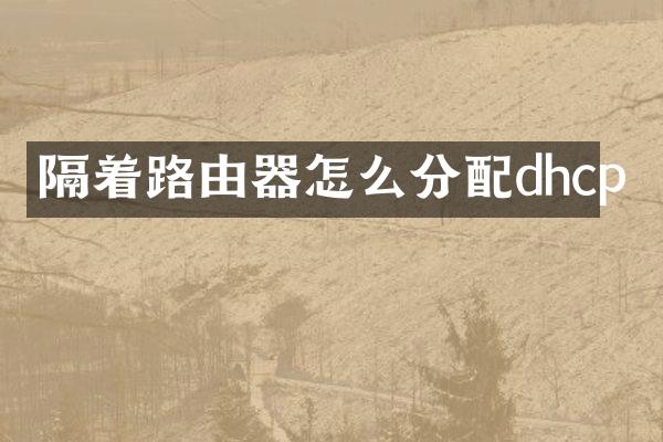 隔着路由器怎么分配dhcp
