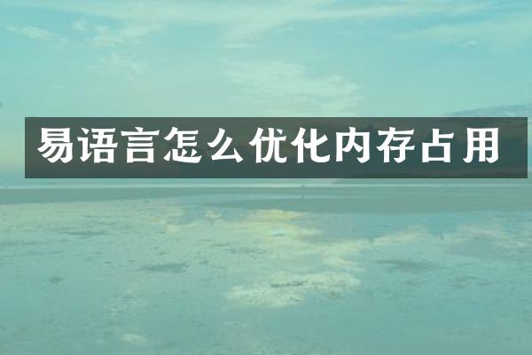 易语言怎么优化内存占用