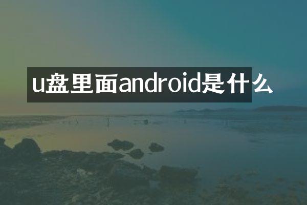 u盘里面android是什么