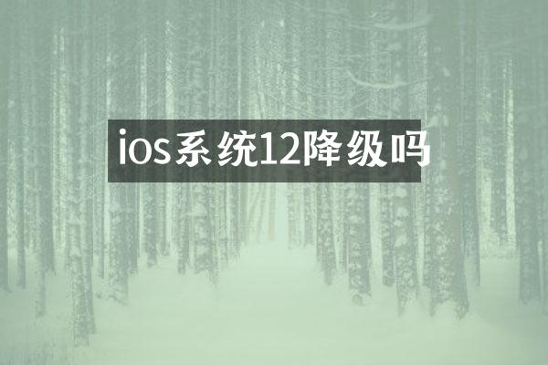 ios系统12降级吗