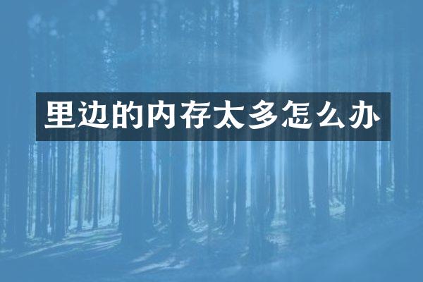 里边的内存太多怎么办