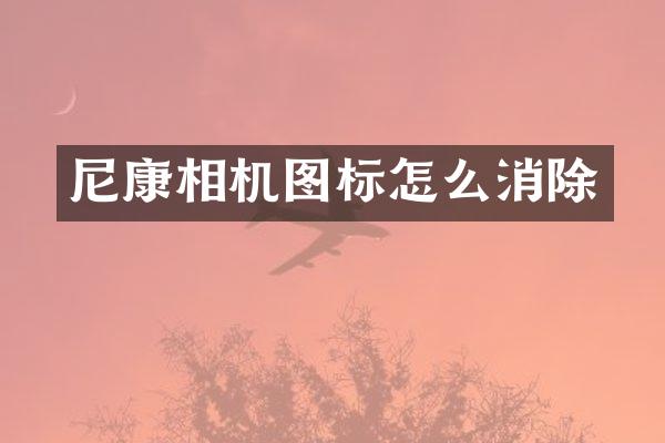 尼康相机图标怎么消除