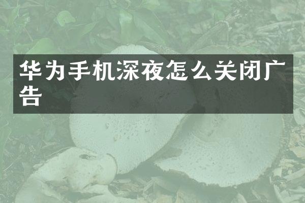 华为手机深夜怎么关闭广告