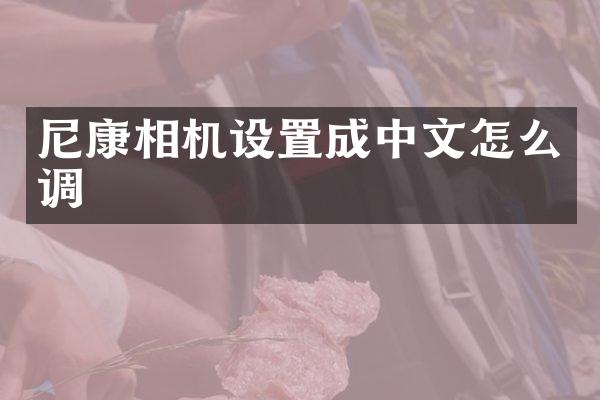 尼康相机设置成中文怎么调