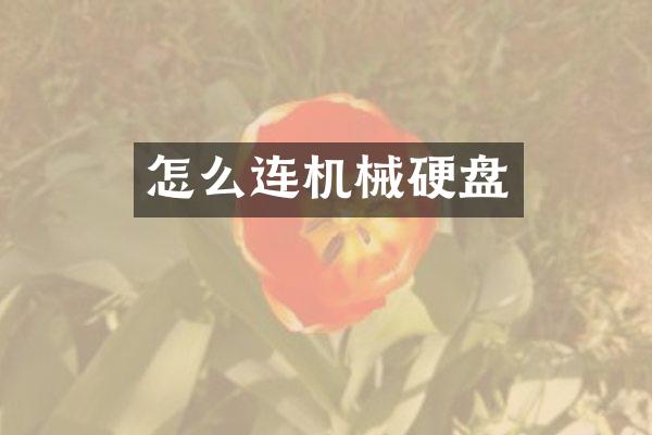 怎么连机械硬盘