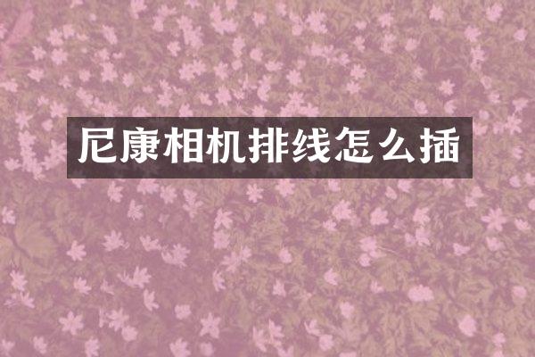 尼康相机排线怎么插