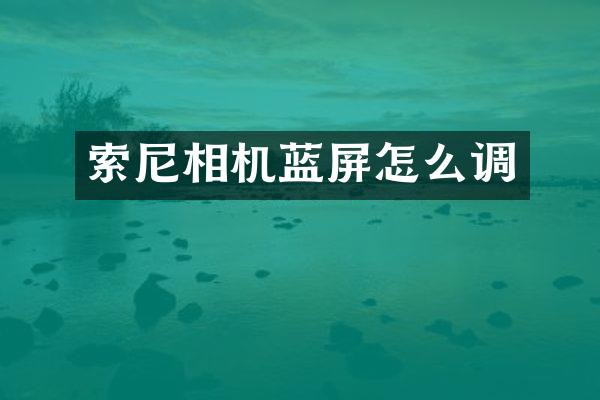 相机蓝屏怎么调