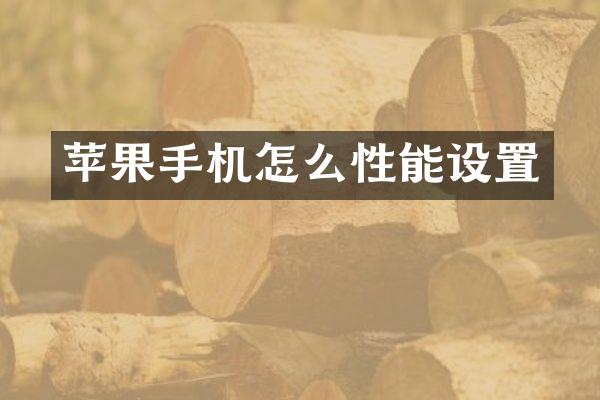 苹果手机怎么性能设置