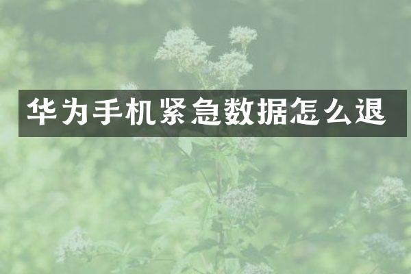 华为手机紧急数据怎么退